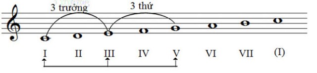 24 Hợp Âm Guitar Cơ Bản Cho Người Mới Học | Học Gì Đây?