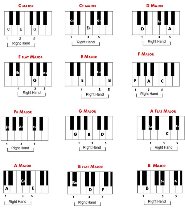 Học đàn Piano cơ bản