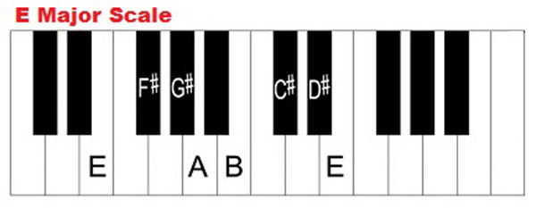 Học đàn Piano cơ bản