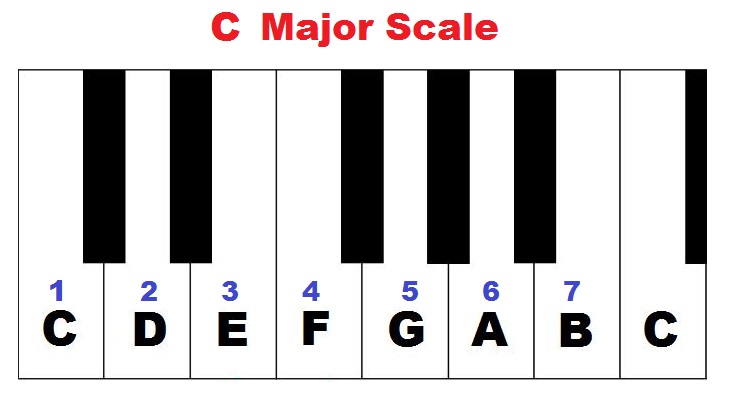 Học đàn Piano cơ bản