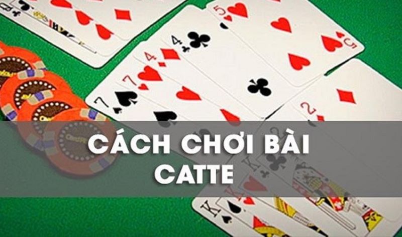 Một thuật ngữ được sử dụng trong bài viết phổ biến Catte