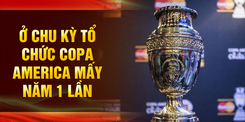 Giải Copa America đã được tổ chức bao nhiêu năm? Chi tiết về Giải bóng đá King33