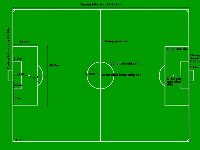 Tìm hiểu hình bán nguyệt trước vòng cấm để làm gì?