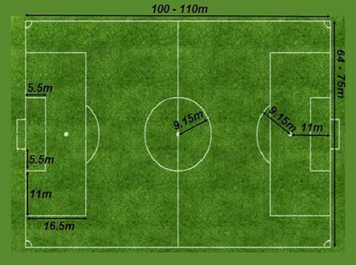 Tìm hiểu hình bán nguyệt trước vòng cấm để làm gì?