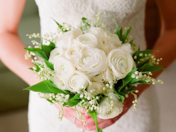 Ý Nghĩa Hoa Mao Lương – Sự Dịu Dàng Mang Đến Vô Vàn May Mắn