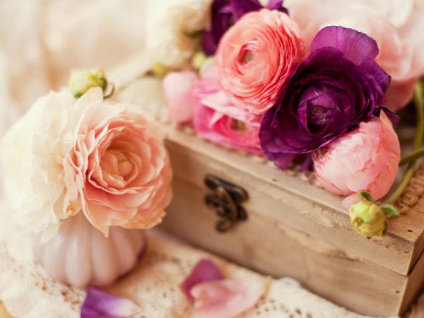 Ý Nghĩa Hoa Mao Lương – Sự Dịu Dàng Mang Đến Vô Vàn May Mắn