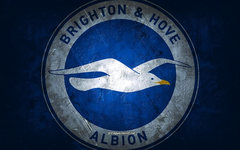 Lịch sử Brighton Hove Albion