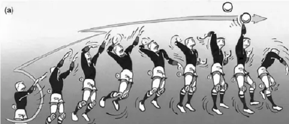 PHÂN TÍCH] Kỹ Thuật Phát Bóng, Chuyền Bóng Cao Tay Đúng Cách