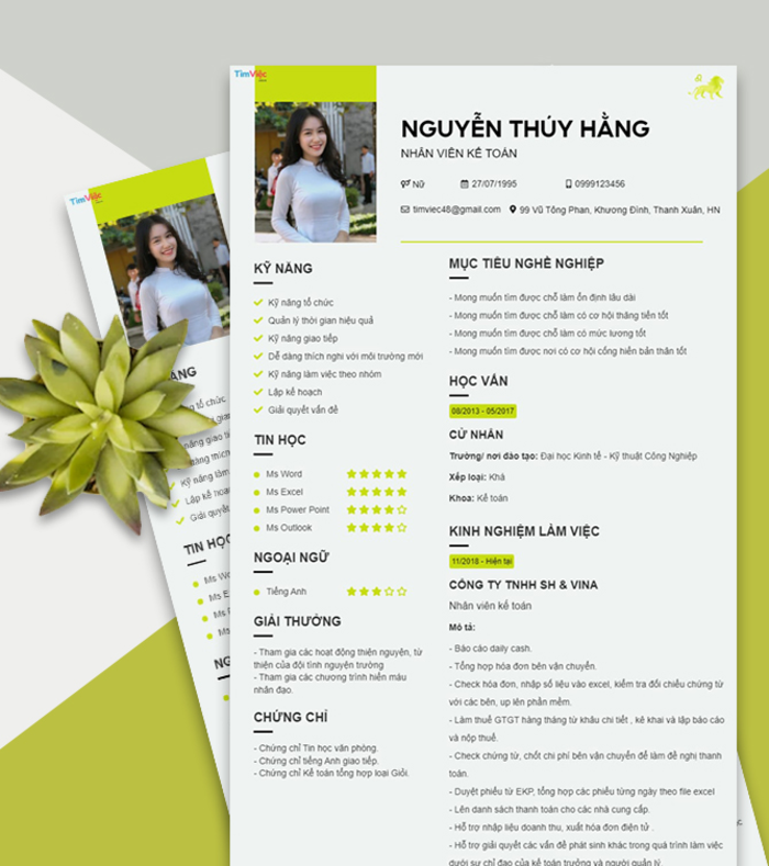 Phân biệt Portfolio mẫu và CV