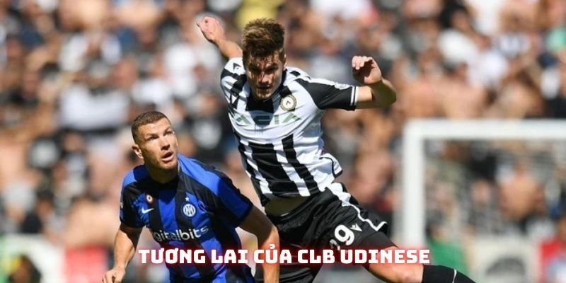 Sự phát triển bền vững của CLB Udinese
