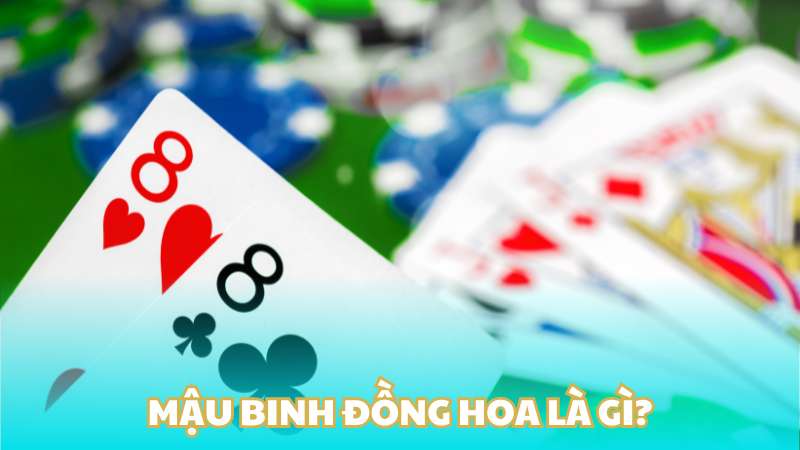 Đồng Hoa Trong Mậu Binh Là Gì? Cách Nhận Biết Và Chiến Thuật