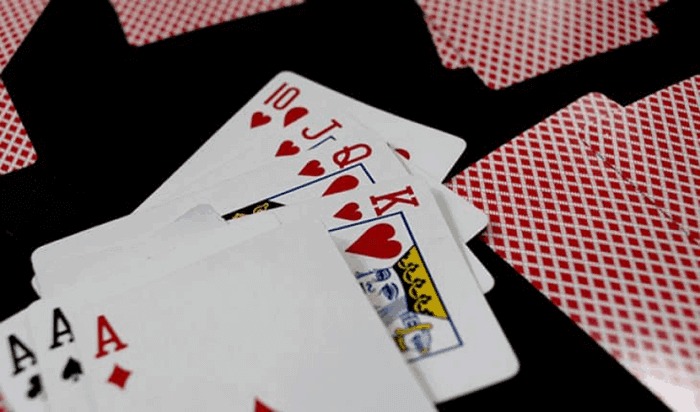 Đồng Hoa Trong Mậu Binh Là Gì? Cách Nhận Biết Và Chiến Thuật