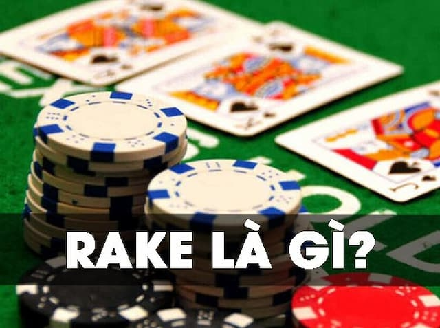 Rake Là Gì Trong Poker? Cách Tính Rake Và Ảnh Hưởng Đến Người Chơi