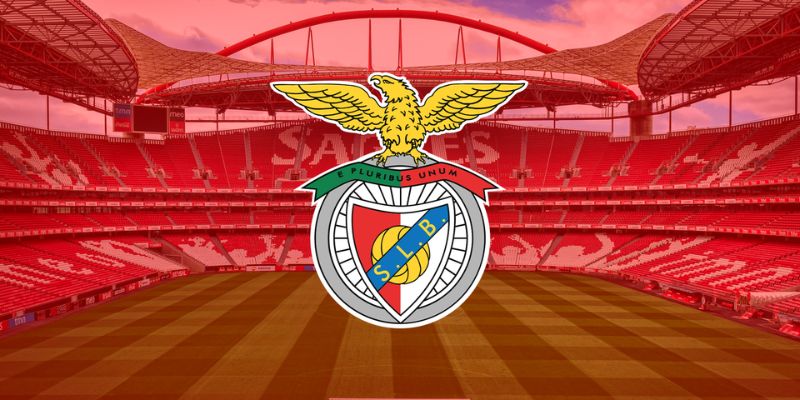 Toàn cảnh sân vận động Estádio da Luz của Benfica